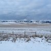 IMG_0203.JPG