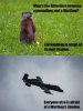 groundhogday.jpg