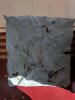 oil rag 0202.jpg
