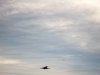 IMG_1592-2.jpg IMG_1592-2.jpg