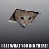 I see what you did there.jpg