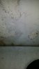 9F6F9DEA-DEF3-49BF-A32E-EBFA9CB36CB1.jpeg