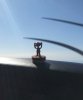 180323 MonkeyOnGlareshield.jpg