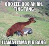 C6820B7B-D335-4CE9-B3B5-73E947E89878.jpeg