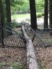 IMG_1939.jpeg