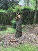 IMG_1937.jpeg