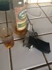 IMG_3935.JPG IMG_3935.JPG