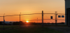 IMG_6935 (1).png