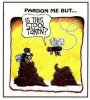 image1.jpeg