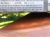 Label.JPG