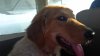 20180531_193329.jpg