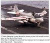 69C3B4E5-8FDD-4E4F-9418-12D67AA6E466.jpeg