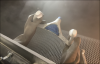 upload_2018-6-18_9-37-23.png