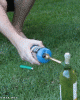 image.gif image.gif