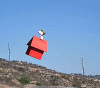 image.gif