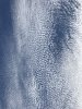 AF246FA5-510B-4B5E-B85C-F1843EEB32DF.jpeg