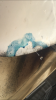 C479510F-A1FA-4589-B8E9-A6918477B998.png