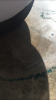 1D35E43A-BDE7-484E-BF87-AABC11C47281.png