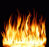 image.gif image.gif