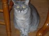 DSCN3444.JPG