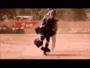 image.gif image.gif