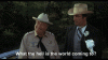 image.gif