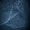 7134B9DC-C276-47B9-A8AE-95447D1BB7D3.jpeg 7134B9DC-C276-47B9-A8AE-95447D1BB7D3.jpeg
