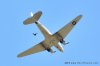 DSC_7519.JPG