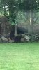3B7112FC-836F-437F-AE81-8C90783FFEE6.jpeg