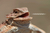 782EC9BA-F71D-4601-9151-E1F695E31710.gif