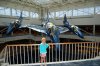 DSC_2126.jpg DSC_2126.jpg