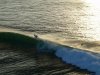 surfer resize.JPG