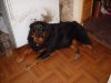 DSC01080.JPG