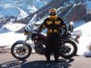 Bumblebee-RR1.jpg