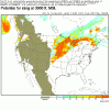 FIP1020508.gif
