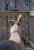 DSC03145.JPG