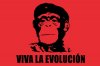 bt-vivalaevolucion.jpg