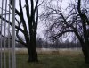 Flooding March 2008 003 50.JPG