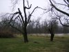 Flooding March 2008 004 50.JPG