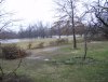 Flooding March 2008 008 50.JPG