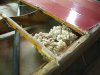 mouse nest.jpg