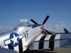 Mustang.JPG