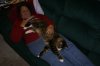 DSC03404.JPG