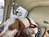 upload_2018-10-18_10-3-34.png upload_2018-10-18_10-3-34.png