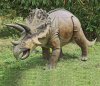 design-toscano-triceratops-life-size-dinosaur-ornament-07ffceafe1004d3e29a25d9a8cd9d096_original.jpg design-toscano-triceratops-life-size-dinosaur-ornament-07ffceafe1004d3e29a25d9a8cd9d096_original.jpg
