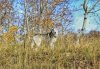 IMG_4839-01-01.jpeg