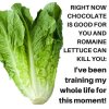 Romaine_Chocolate_m.jpg