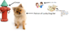 upload_2019-1-21_10-57-51.png