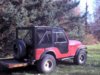9-596313-jeephardtop0026a.jpg
