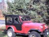 9-596301-jeephardtop0027a.jpg